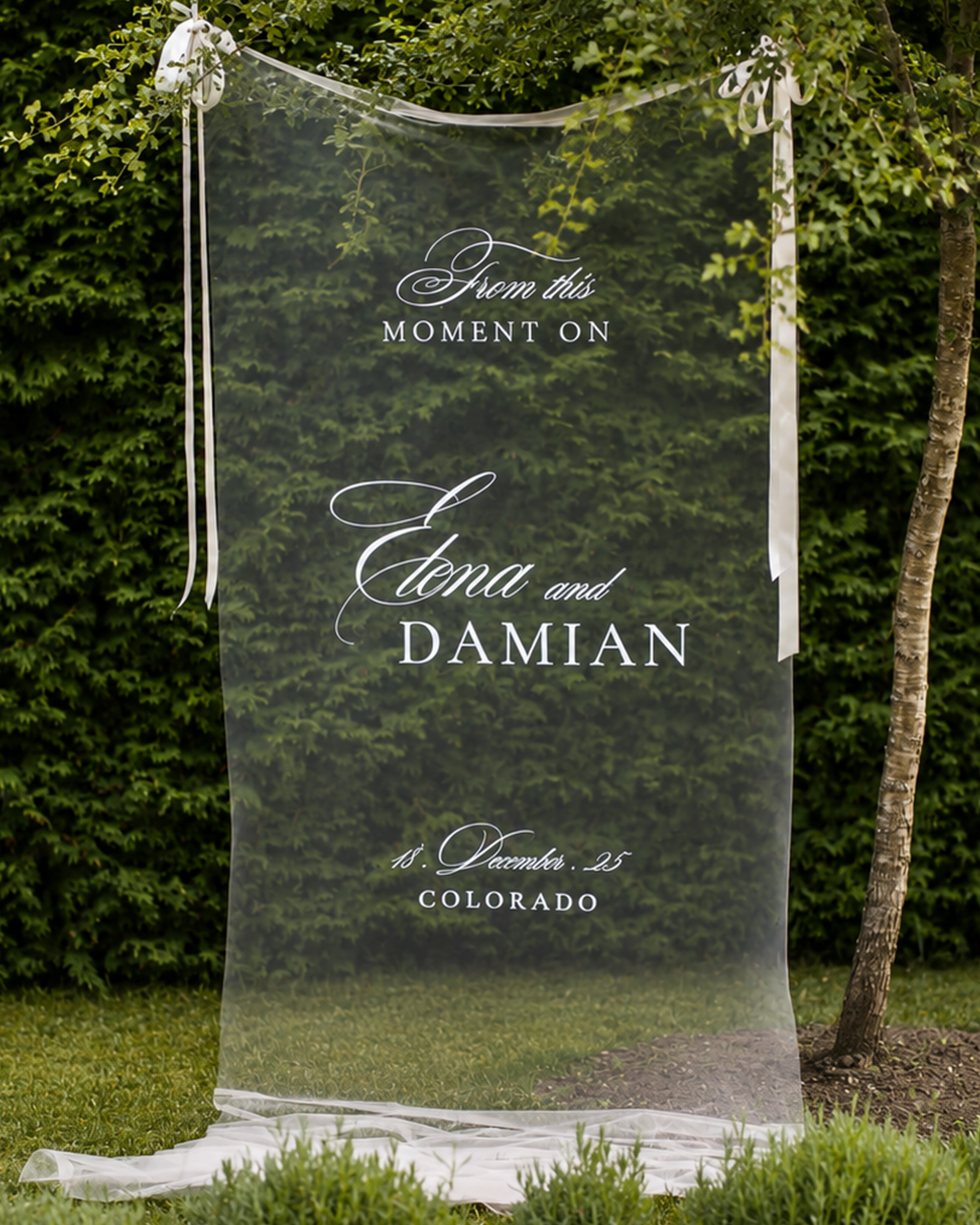 Elegant Sheer Wedding Welcome Sign "Elena & Damian"